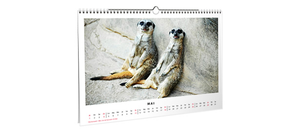 Der Fotokalender mit monatlich wechselbaren Motiv